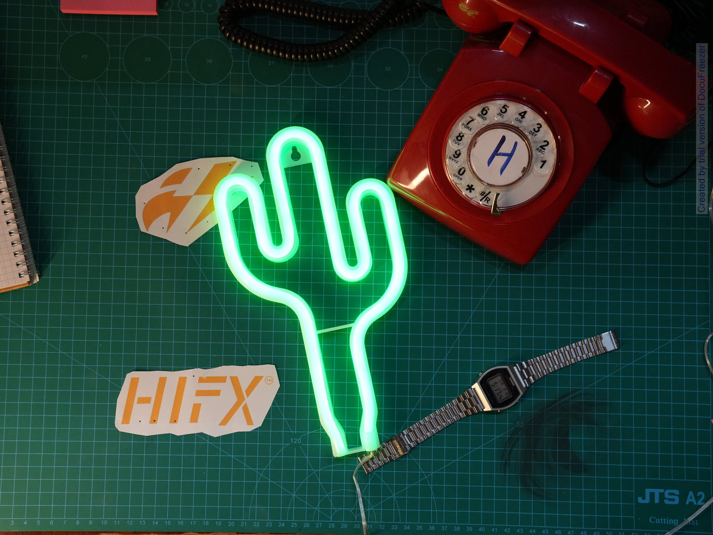 Neon Lights(Cactus)